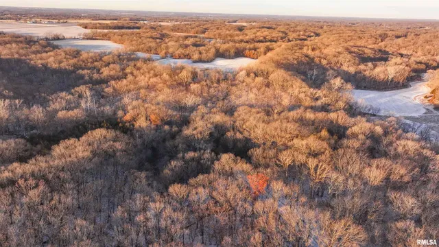 $1,150,000 | 1350 2950 E Street, Clayton, IL 62324