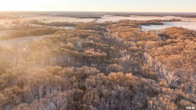 $1,150,000 | 1350 2950 E Street, Clayton, IL 62324