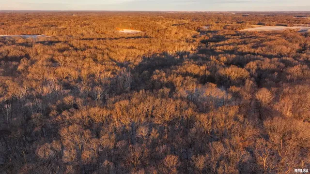 $1,150,000 | 1350 2950 E Street, Clayton, IL 62324