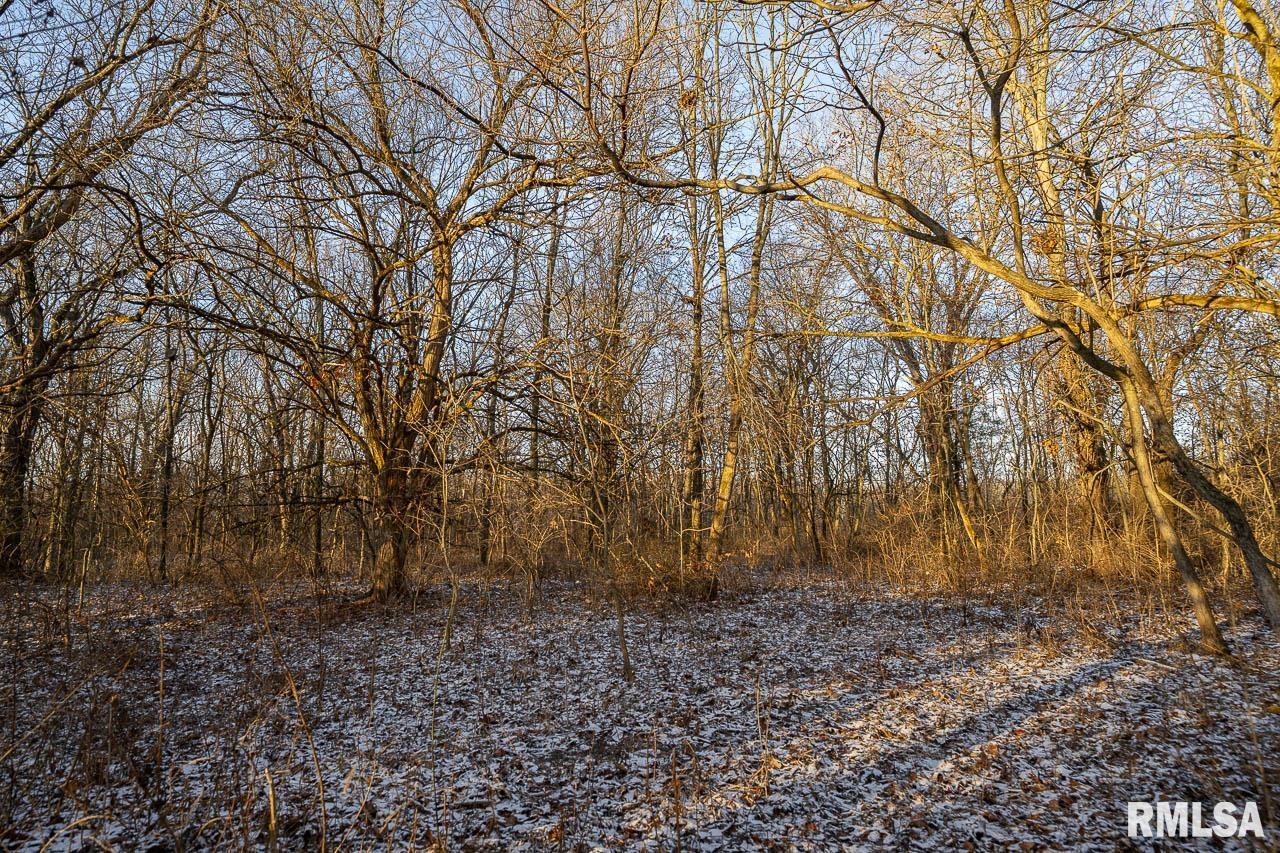 1350 2950 E Street Clayton, IL 62324 - Photo 54 of 77