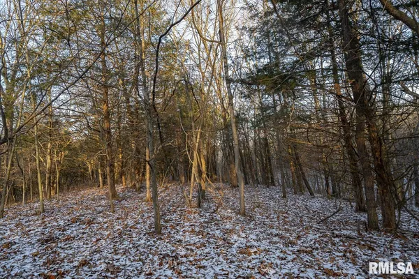 $1,125,000 | 1350 2950 E Street, Clayton, IL 62324