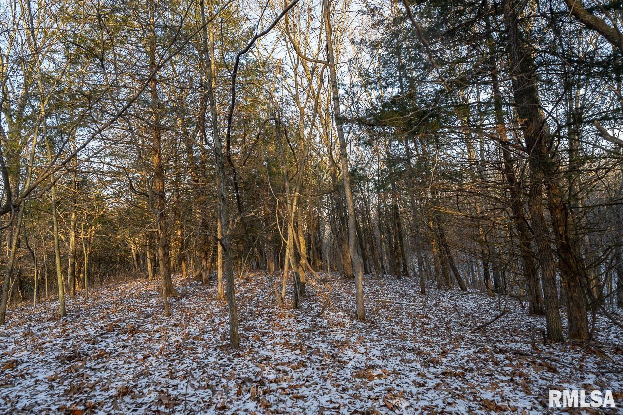 1350 2950 E Street Clayton, IL 62324 - Photo 61 of 77