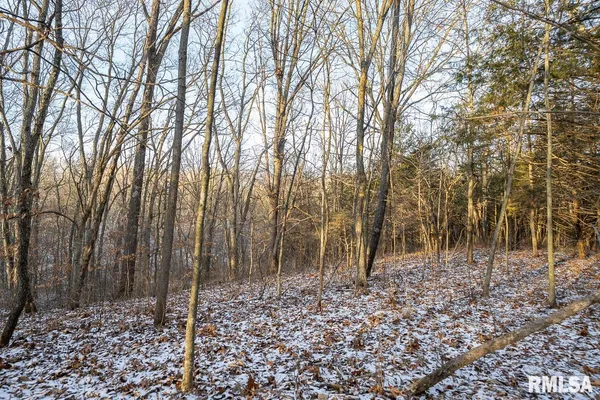 $1,125,000 | 1350 2950 E Street, Clayton, IL 62324