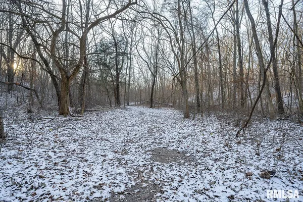 $1,125,000 | 1350 2950 E Street, Clayton, IL 62324