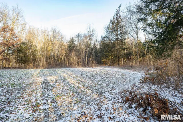 $1,150,000 | 1350 2950 E Street, Clayton, IL 62324