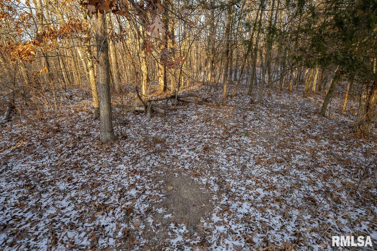 1350 2950 E Street Clayton, IL 62324 - Photo 70 of 77