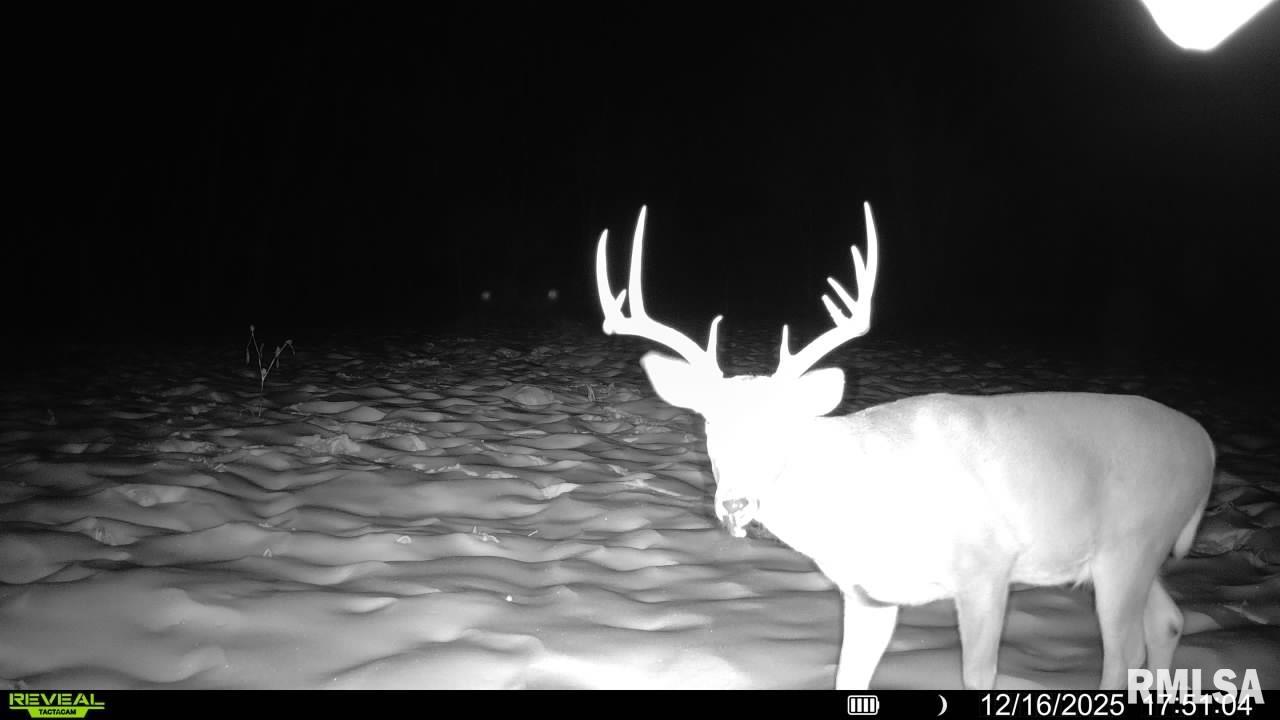 1350 2950 E Street Clayton, IL 62324 - Photo 73 of 77