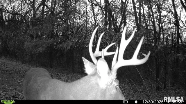 $1,150,000 | 1350 2950 E Street, Clayton, IL 62324