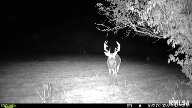 $1,150,000 | 1350 2950 E Street, Clayton, IL 62324