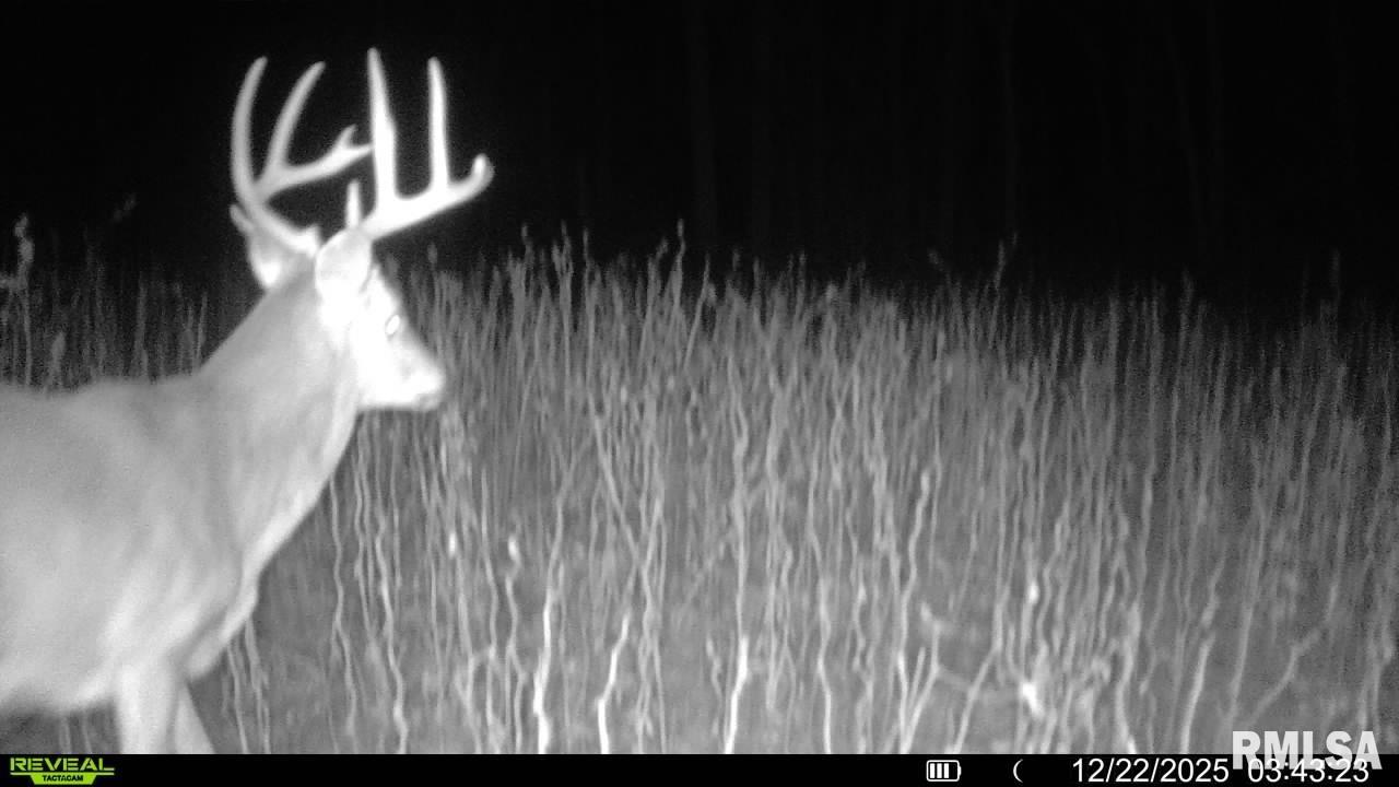 1350 2950 E Street Clayton, IL 62324 - Photo 77 of 77