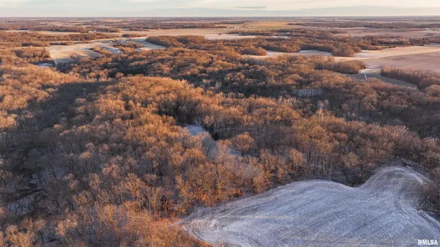 $1,150,000 | 1350 2950 E Street, Clayton, IL 62324