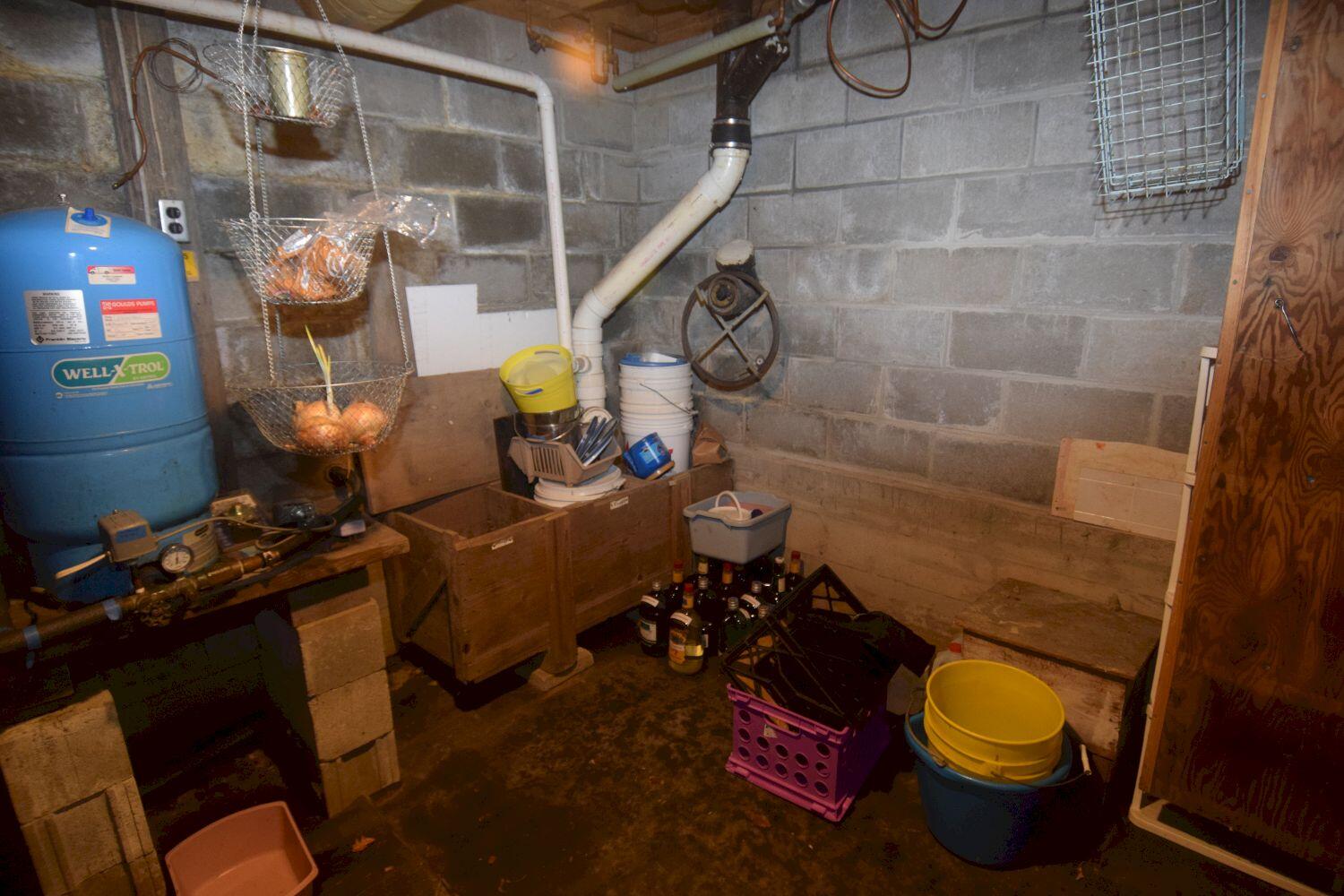 61 Castle Road Harmony, ME 04942 - Photo 63 of 82 Root Cellar 1