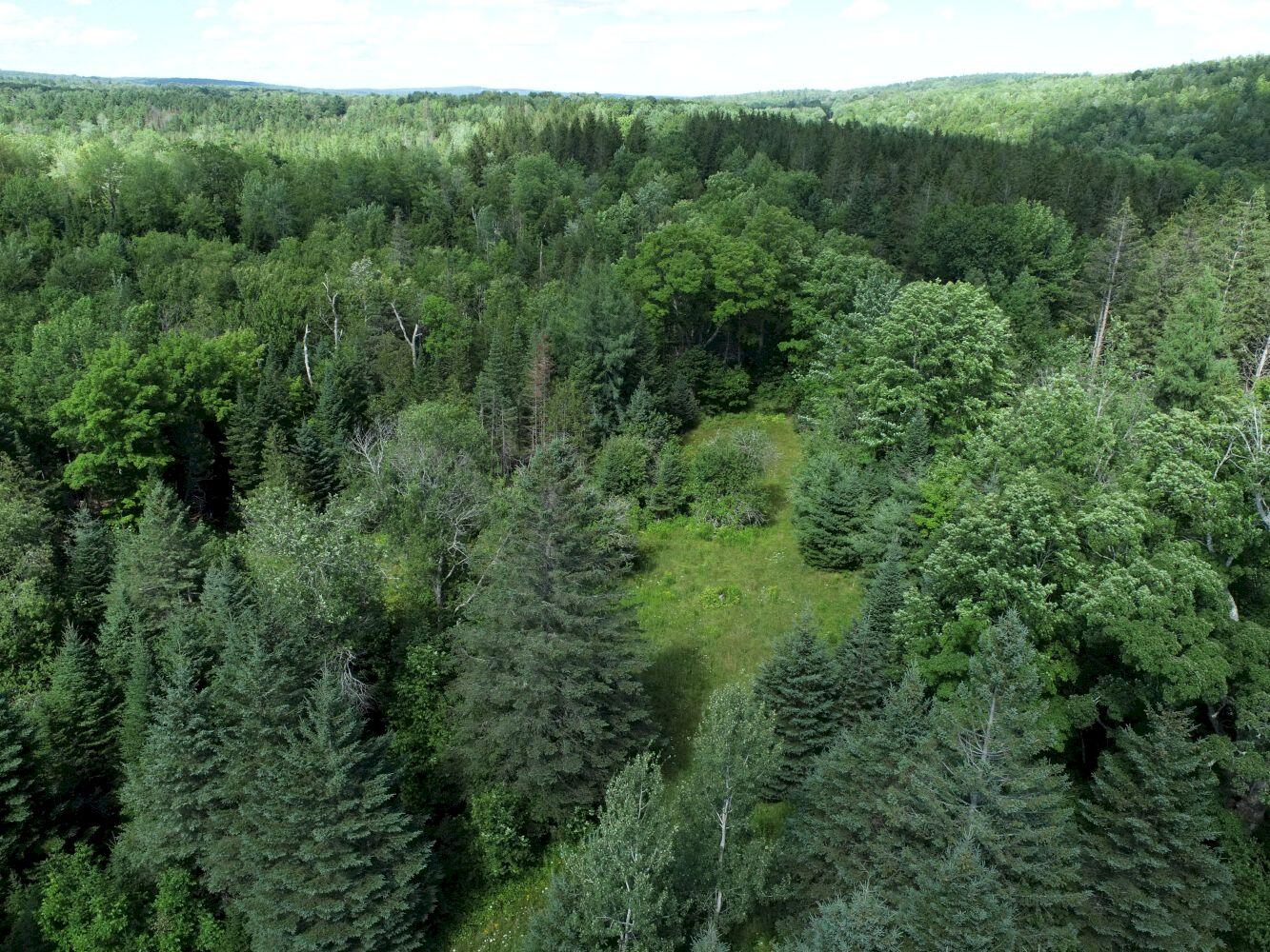 61 Castle Road Harmony, ME 04942 - Photo 78 of 82 DJI_0016