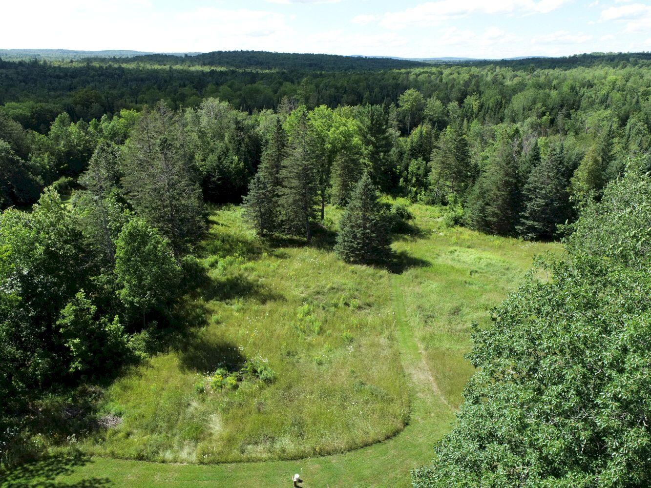 61 Castle Road Harmony, ME 04942 - Photo 80 of 82 DJI_0009