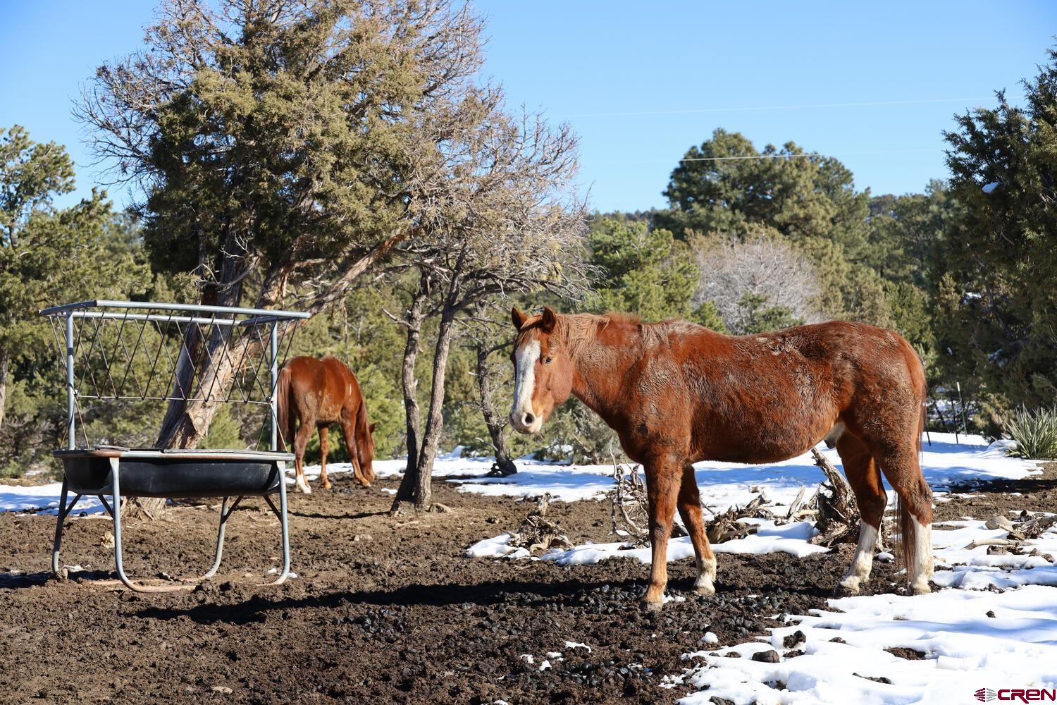525 D Bar K Drive Durango, CO 81301 - Photo 35 of 35