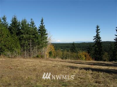 6 Discovery Ridge Rd Port Port Townsend, WA 98368 - Photo 1 of 1 Gallery Image 1
