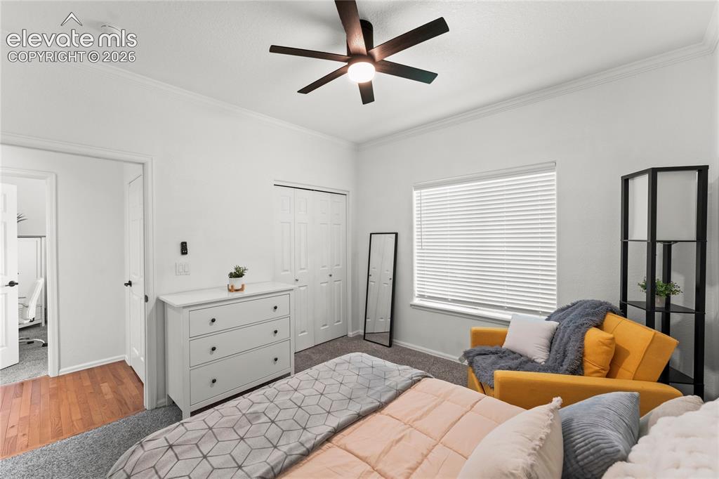 106 Joshua Road Divide, CO 80814 - Photo 20 of 39