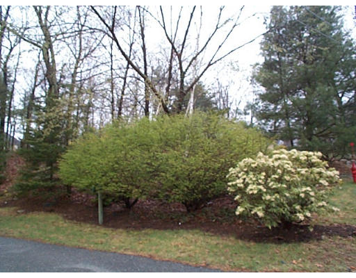 4 View Hill Road Southborough, MA 01772 - Photo 18 of 20 Gallery Image 18