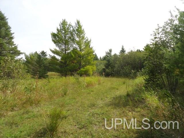 Tbd M28 @ German Road Bruce Crossing, MI 49912 - Photo 2 of 6