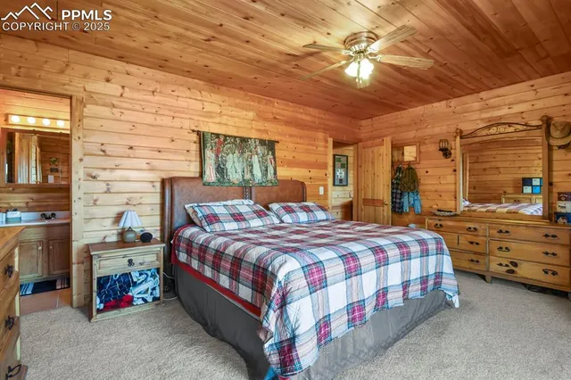 a bedroom with a bed and a ceiling fan