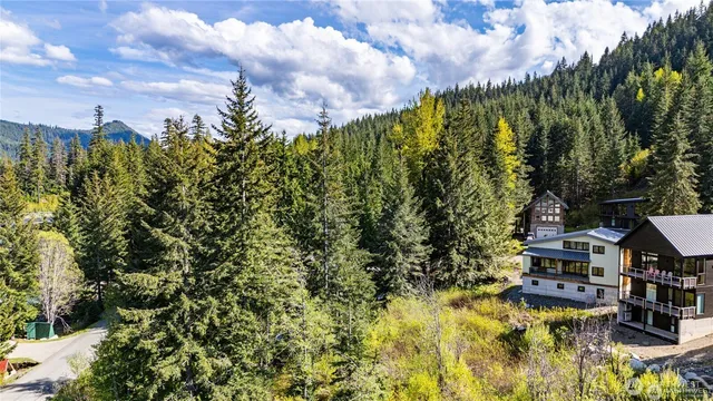 a aerial view of a house with swimming pool and trees in the background
