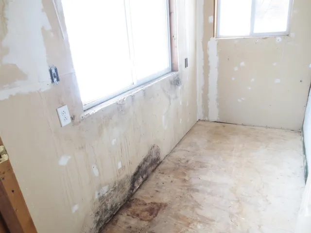 a view of a white door and a window