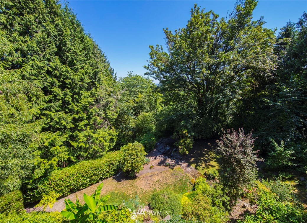 1668 East Boston Terrace Seattle, WA 98112 - Photo 23 of 24 a view of a garden with plants
