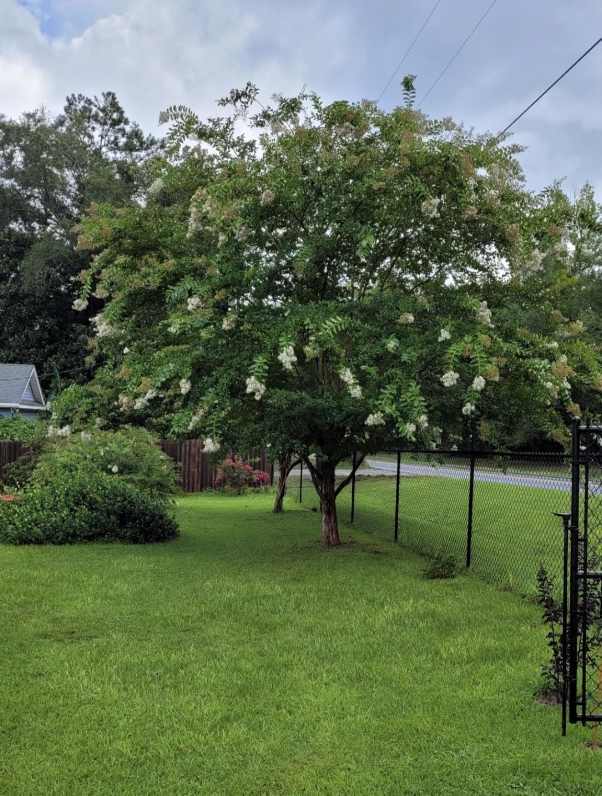 1336 Williams Landing Road Tallahassee, FL 32310 - Photo 1 of 28