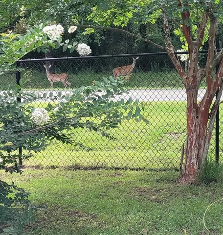 $269,900 | 1336 Williams Landing Road, Tallahassee, FL 32310