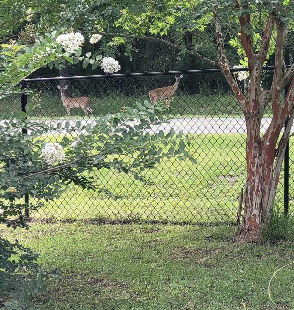 1336 Williams Landing Road Tallahassee, FL 32310 - Photo 21 of 28