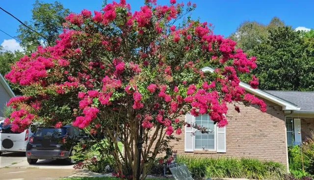 $269,900 | 1336 Williams Landing Road, Tallahassee, FL 32310