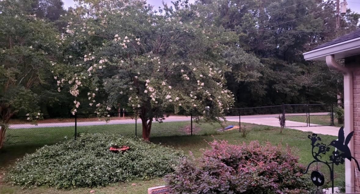 1336 Williams Landing Road Tallahassee, FL 32310 - Photo 25 of 28