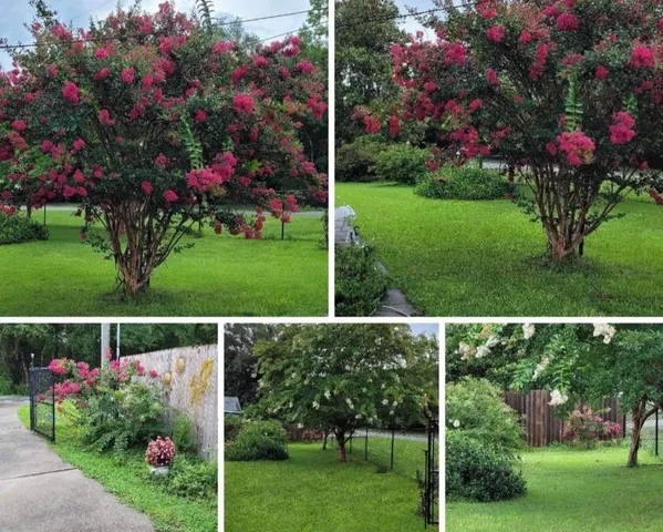 $269,900 | 1336 Williams Landing Road, Tallahassee, FL 32310