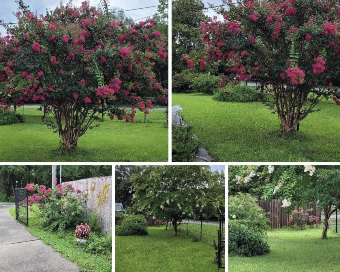 1336 Williams Landing Road Tallahassee, FL 32310 - Photo 26 of 28