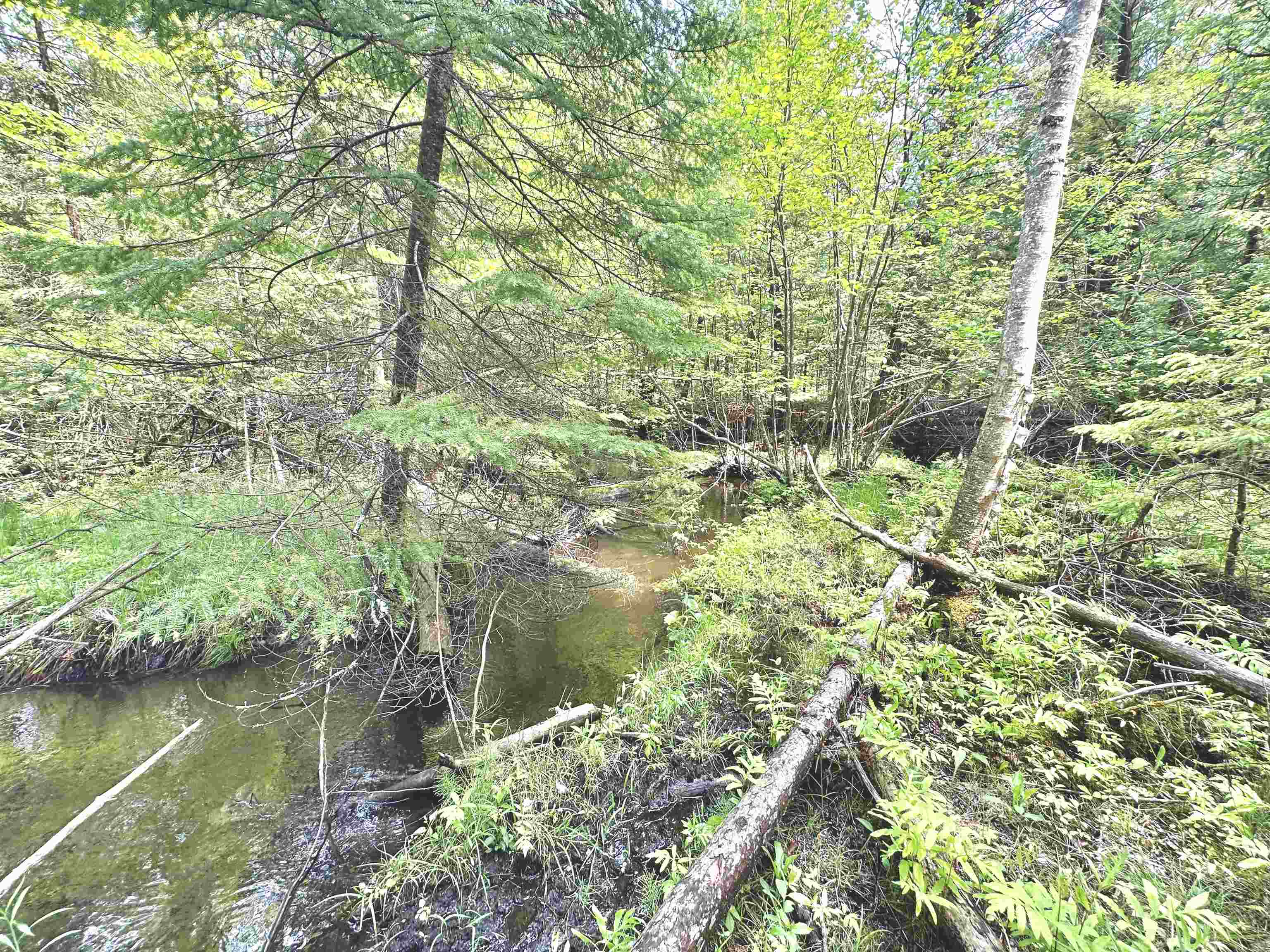 90-acres East Otto Road Suttons Bay, MI 49682 - Photo 38 of 68 Gallery Image 38