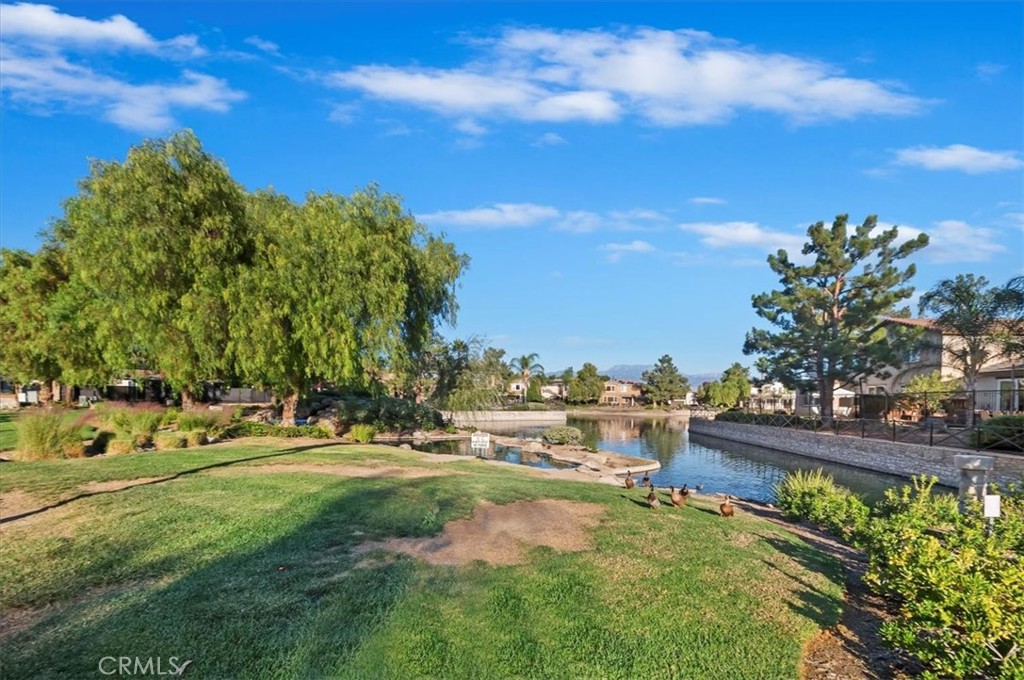 3215 Tumbleweed Road Hemet, CA 92545 - Photo 46 of 46 a view of a park with large trees