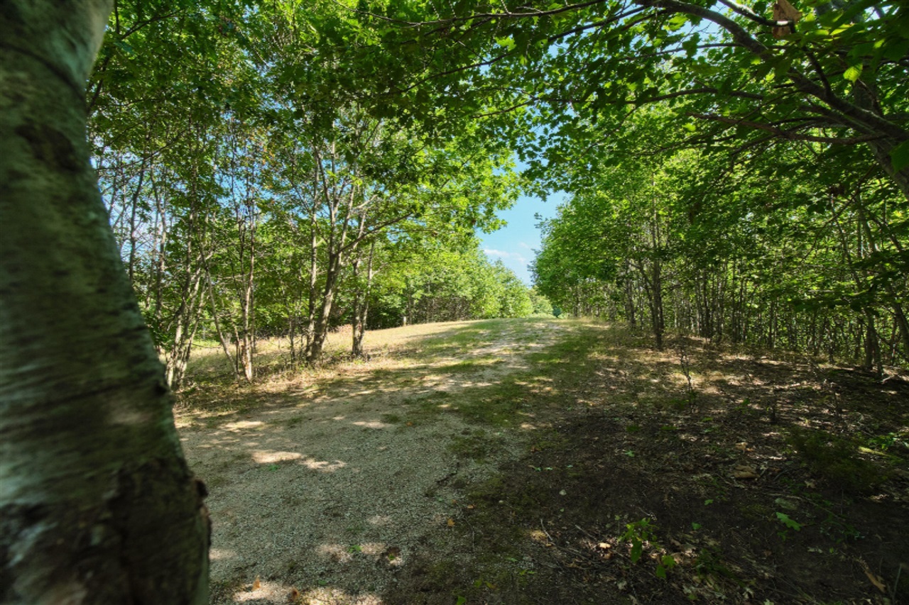 Arcadia Ridge Drive Onekama, MI 49675 - Photo 20 of 52