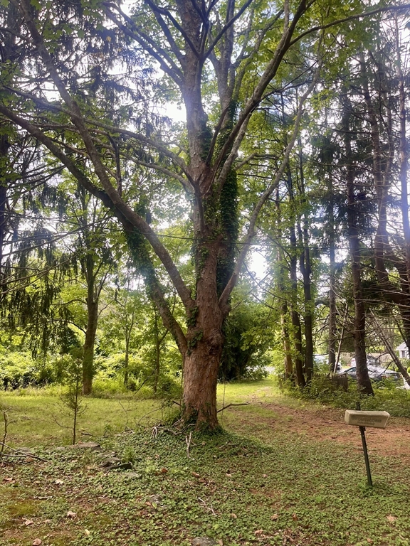 28 Indian Neck Road Wareham, MA 02571 - Photo 3 of 19