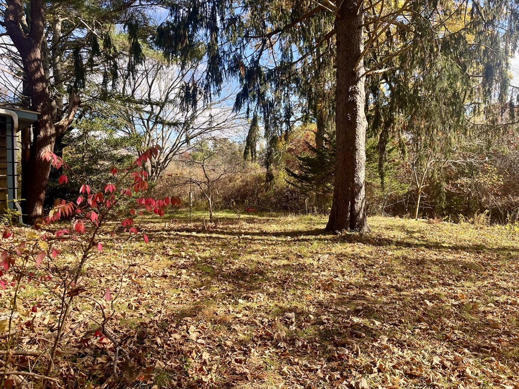 28 Indian Neck Road Wareham, MA 02571 - Photo 8 of 19