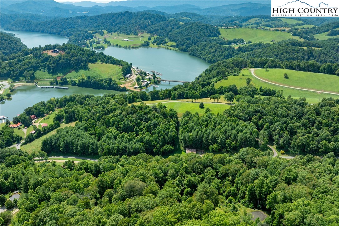 Lot 30 Lake Ridge Butler, TN 37640 - Photo 16 of 30 an aerial view of green landscape with trees houses and mountain view