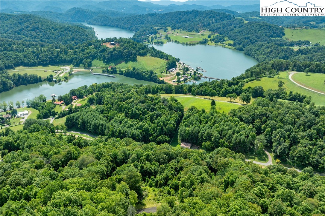 Lot 30 Lake Ridge Butler, TN 37640 - Photo 18 of 30 an aerial view of a house with a yard and lake view