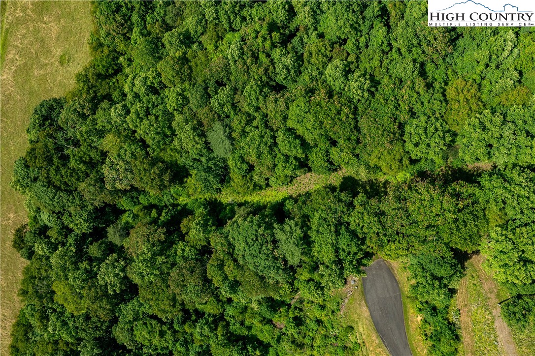 Lot 30 Lake Ridge Butler, TN 37640 - Photo 2 of 30 a view of a garden