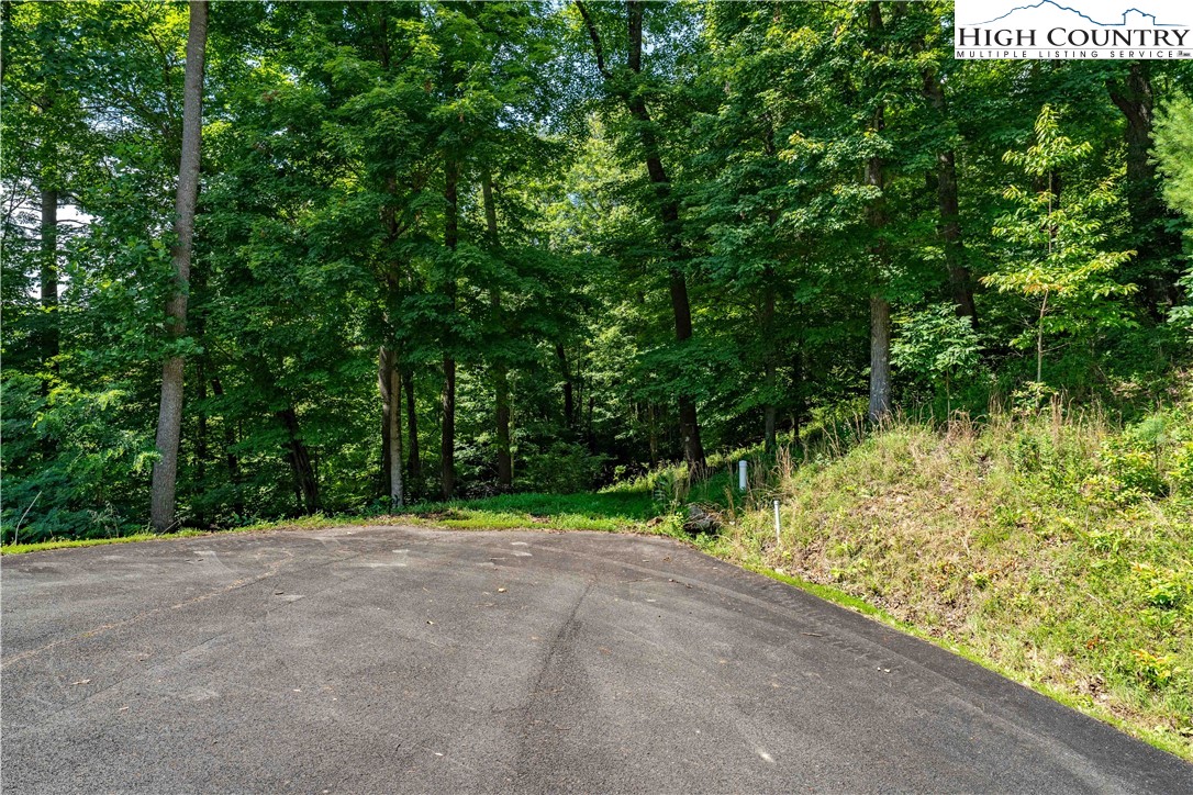Lot 30 Lake Ridge Butler, TN 37640 - Photo 27 of 30 a view of outdoor space and yard