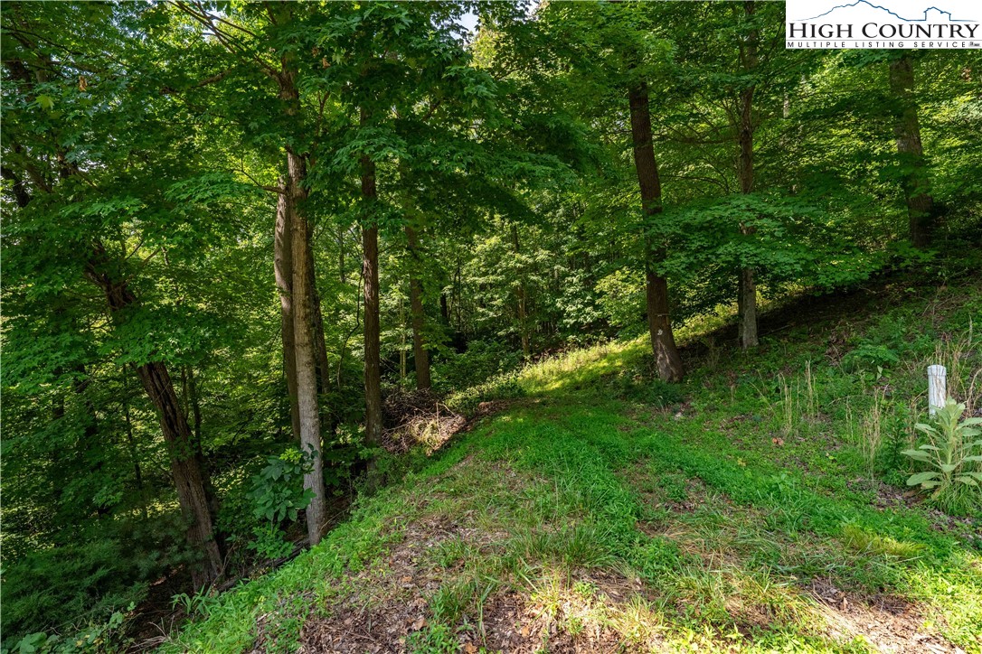 Lot 30 Lake Ridge Butler, TN 37640 - Photo 28 of 30 a view of a lush green forest with lots of trees