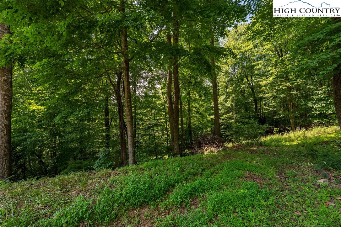 Lot 30 Lake Ridge Butler, TN 37640 - Photo 29 of 30 a view of lush green forest