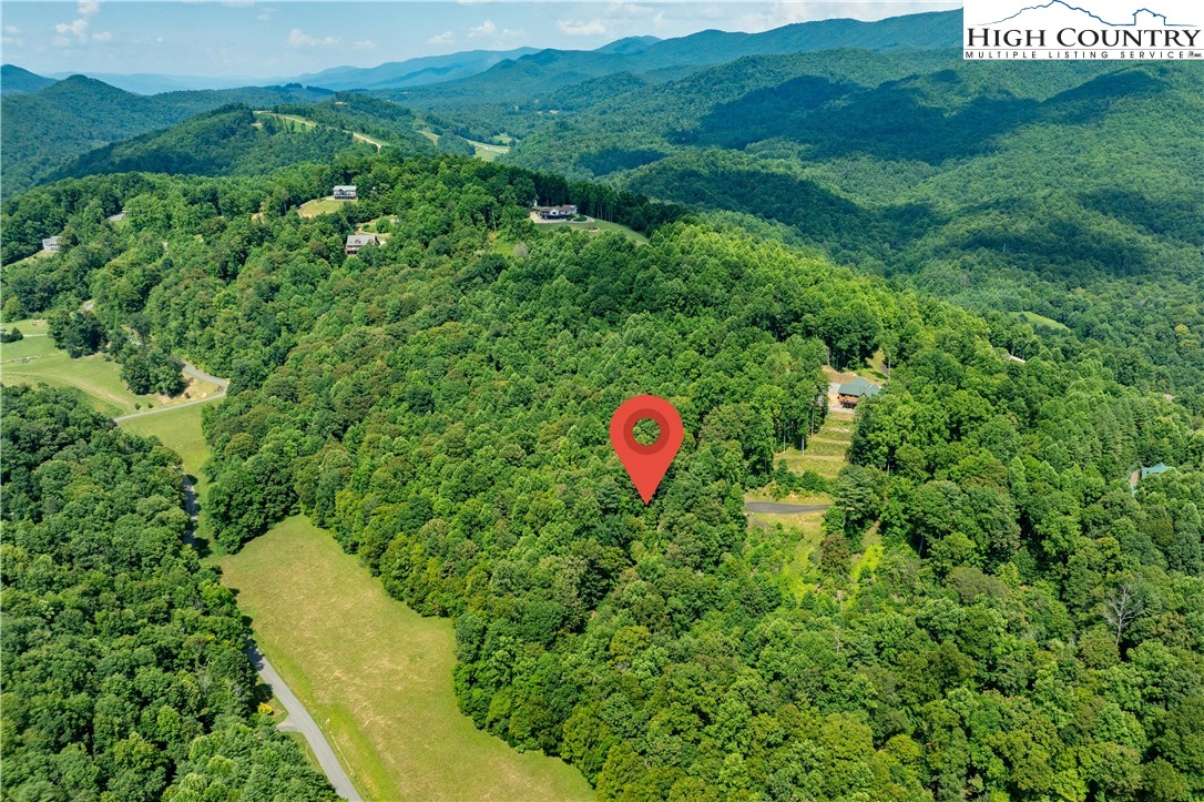 Lot 30 Lake Ridge Butler, TN 37640 - Photo 5 of 30 a view of a house with a backyard and a forest