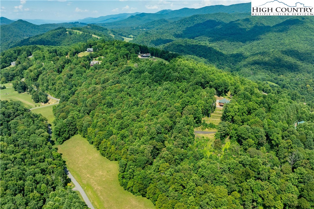 Lot 30 Lake Ridge Butler, TN 37640 - Photo 6 of 30 a view of a lush green field with lots of bushes