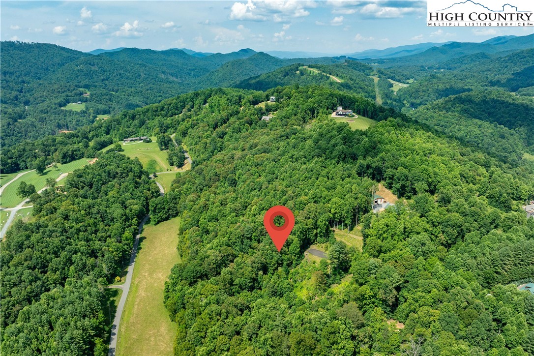 Lot 30 Lake Ridge Butler, TN 37640 - Photo 7 of 30 a view of a lush green forest with houses