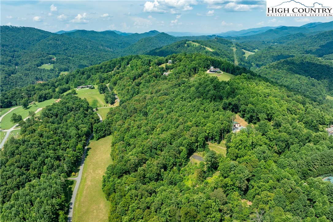 Lot 30 Lake Ridge Butler, TN 37640 - Photo 8 of 30 a view of a green field with lots of bushes