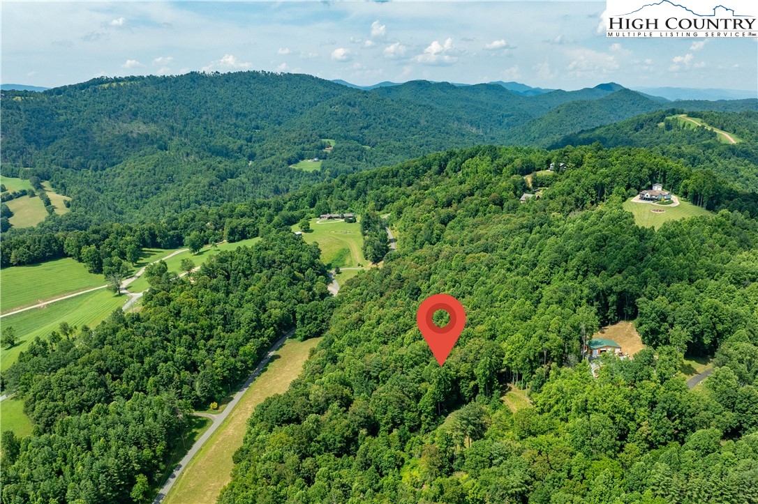 Lot 30 Lake Ridge Butler, TN 37640 - Photo 9 of 30 a view of a lush green field with lots of bushes